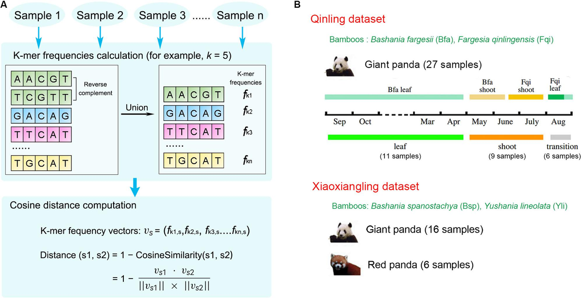 Frontiers | A New Alignment-Free Whole Metagenome Comparison Tool and ...