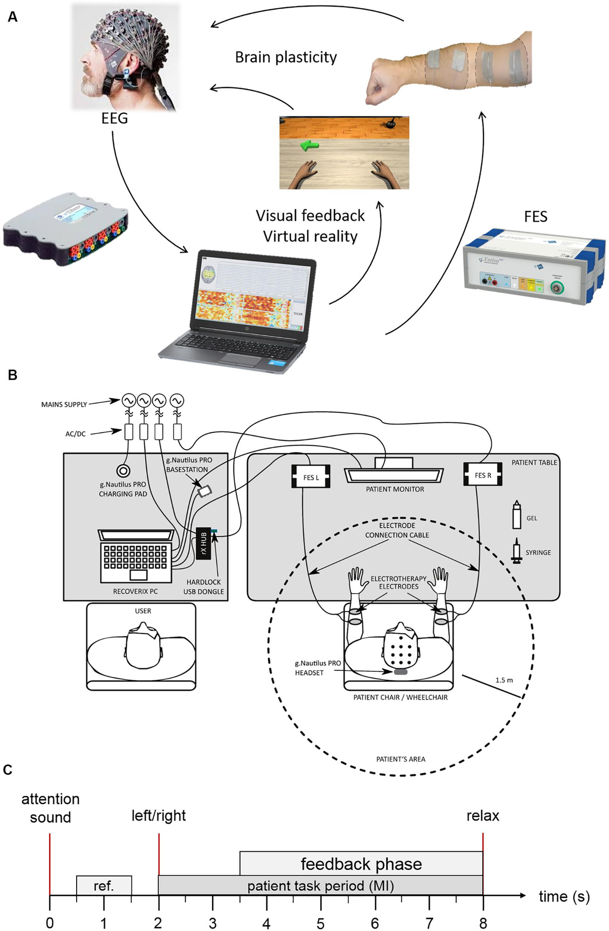 Frontiers | BrainQuake: An Open-Source Python Toolbox for