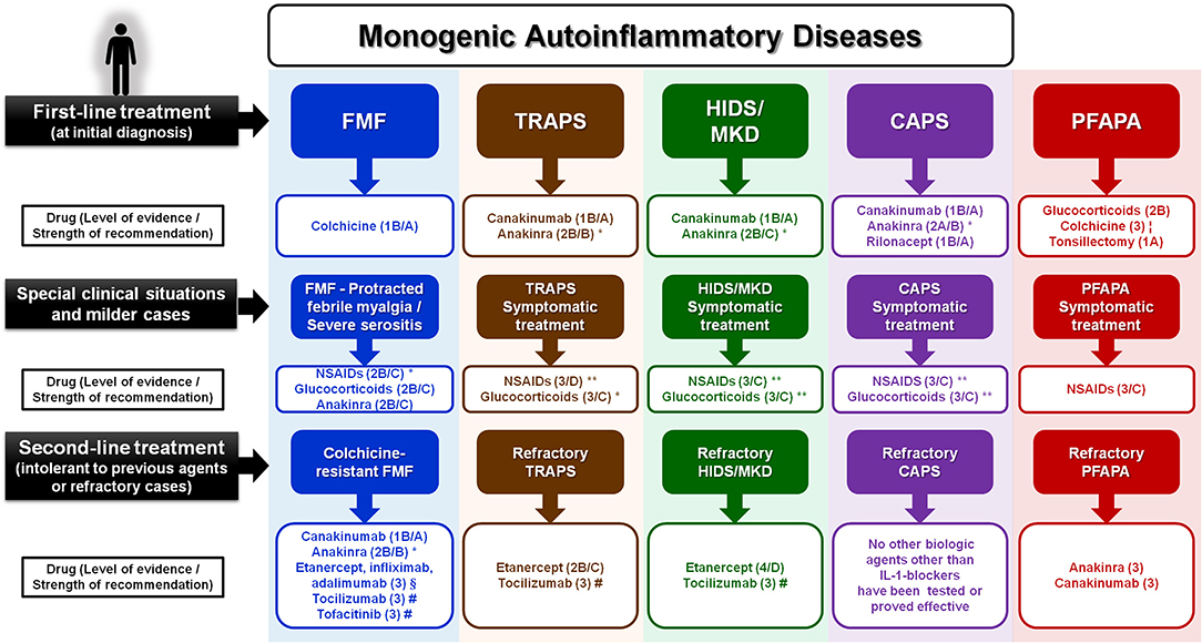 Systemic Autoinflammatory Diseases-Clinical Rheumatic Challenges [ハードカバー] Feist， Eugen Amazon.co.jp: Systemic Autoinflammatory Diseases: Clinical