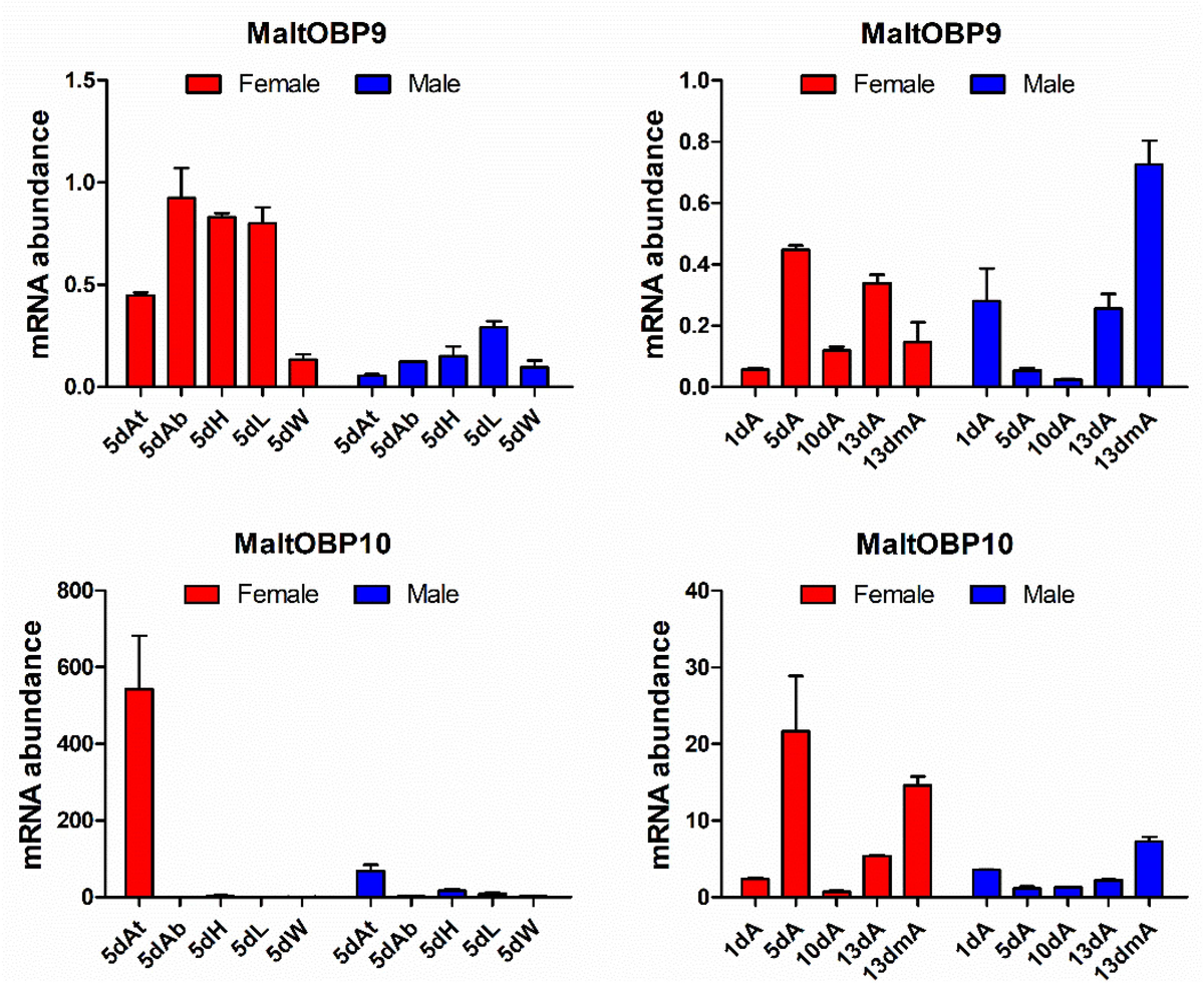 Frontiers | Functional Analysis of Two Odorant-Binding Proteins