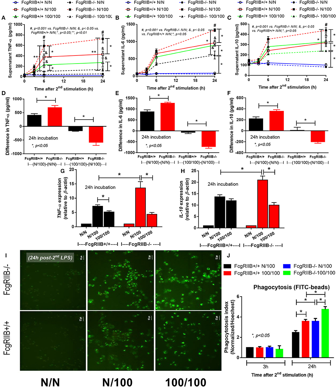 夏セール開催中 MAX80%OFF！ of Dysregulation | Frontiers Lipid Macrophages in Metabolism パーツ