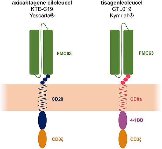 Yekaterinaning yalangoch haqiqati 2 Haqiqiy yashirin kamera bilan etuk porno