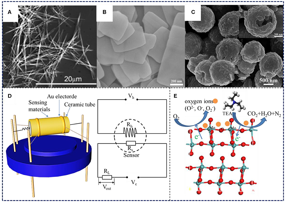 Frontiers | Volatile Organic Compounds Gas Sensors Based on