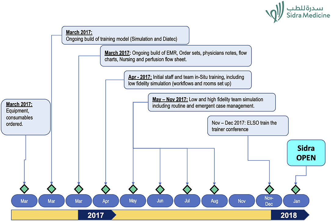 Frontiers | Successful Establishment of the First Neonatal