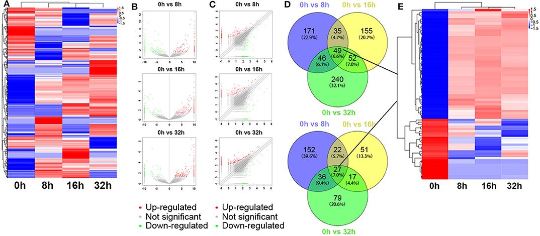 Frontiers | Molecular Screening for Nigericin Treatment in