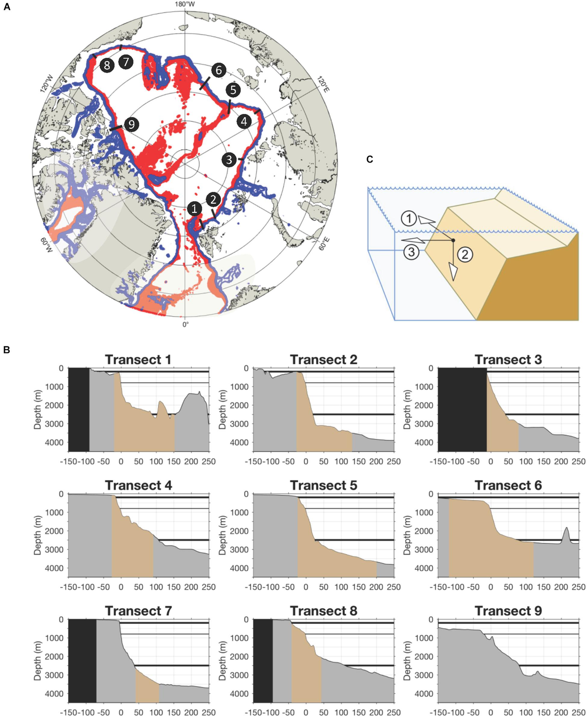 Frontiers | The Pan-Arctic Continental Slope: Sharp