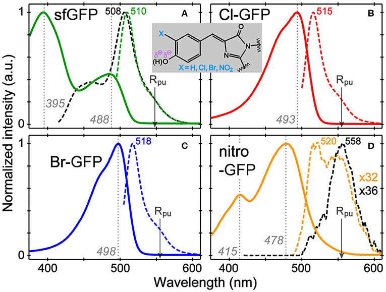 Fluorescence emission spectra and structures of the