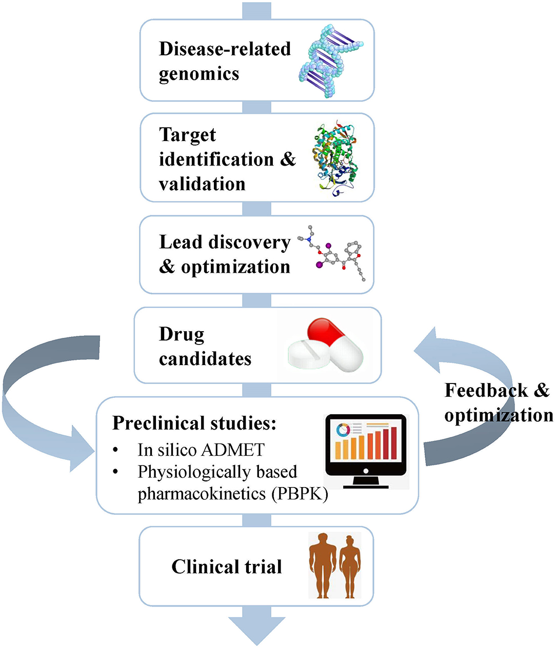 Computational Approaches in Preclinical Studies on Drug Discovery and  Development - Frontiers