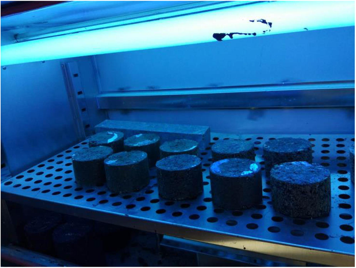 Frontiers | An Indoor Laboratory Simulation and Evaluation