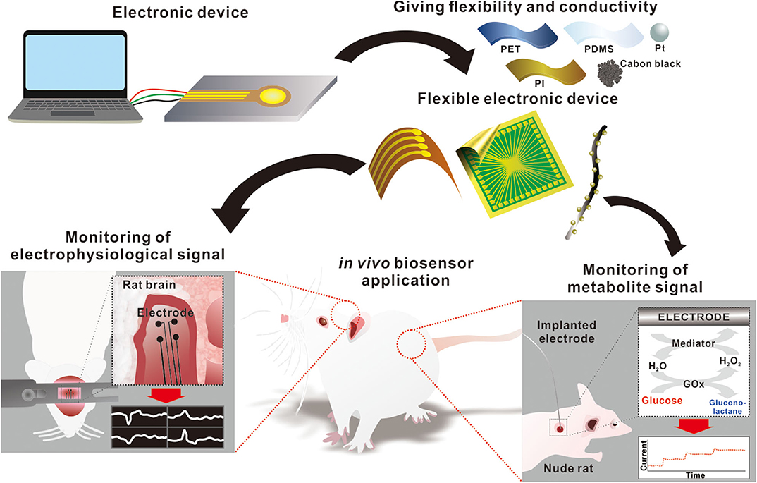 Flexible Electronics for Monitoring in vivo Electrophysiology and Metabolite Signals