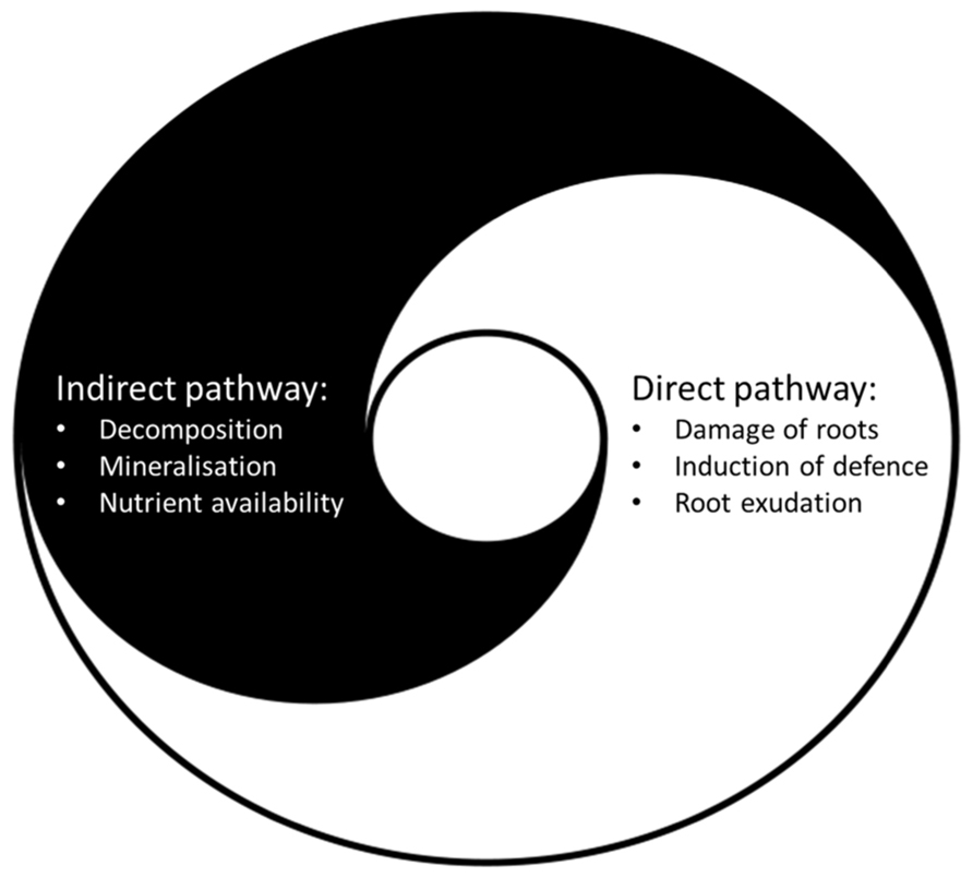 Plant-mediated links between detritivores and aboveground ... Biology Diagrams