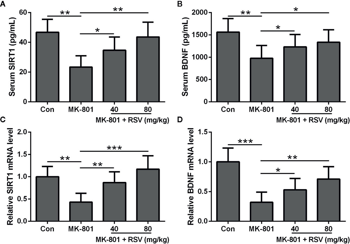 Frontiers | Lysosomal biogenesis and function in osteoclasts