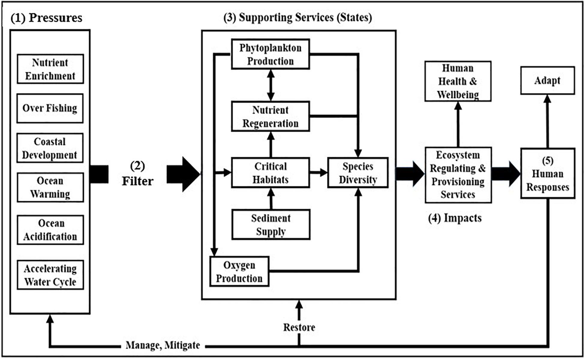 Frontiers | The Globalization of Cultural Eutrophication in