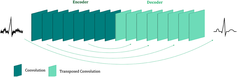 Frontiers | Multi-Channel Fetal ECG Denoising With Deep Convolutional ...