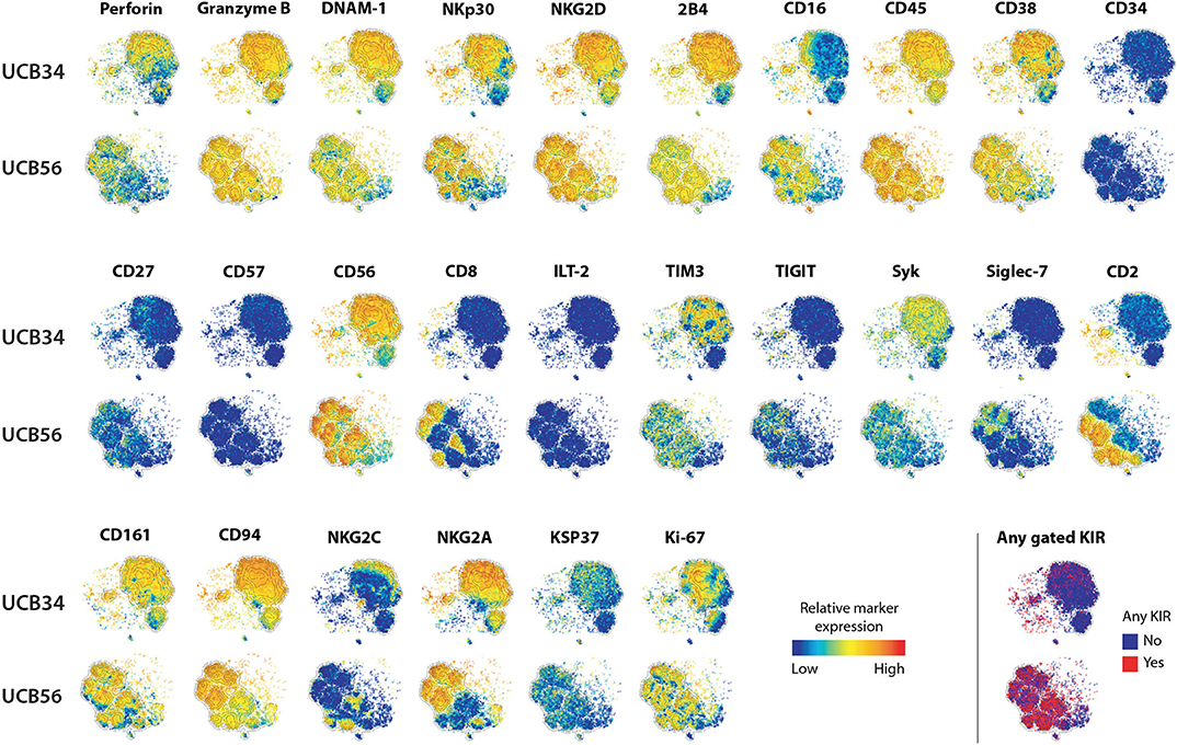 【HVY097/JP/CF】Grains of Bloodspill/流血の繊維 Targeting Mutant BRAF in Relapsed or Refractory Hairy-Cell