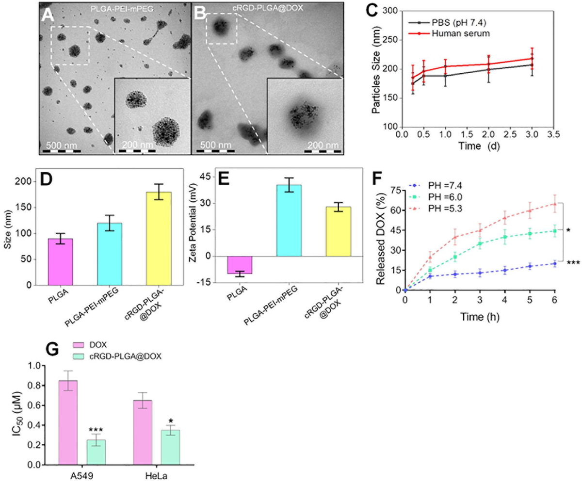 Frontiers | Evaluating the Treatment Efficacy of Nano-Drug