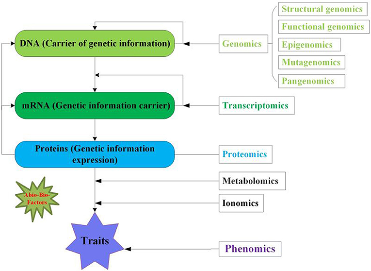 Frontiers | Applications of Multi-Omics Technologies for