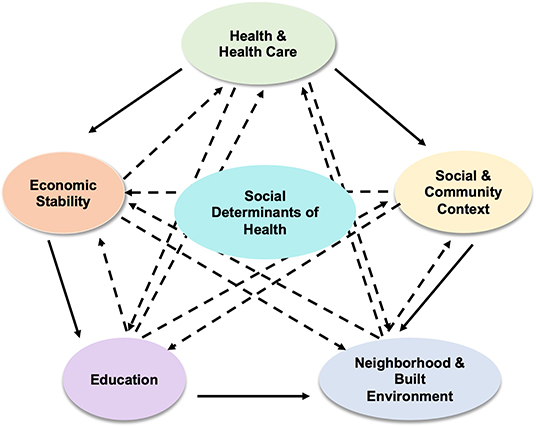 Frontiers | Impact of Social Determinants of Health on the 