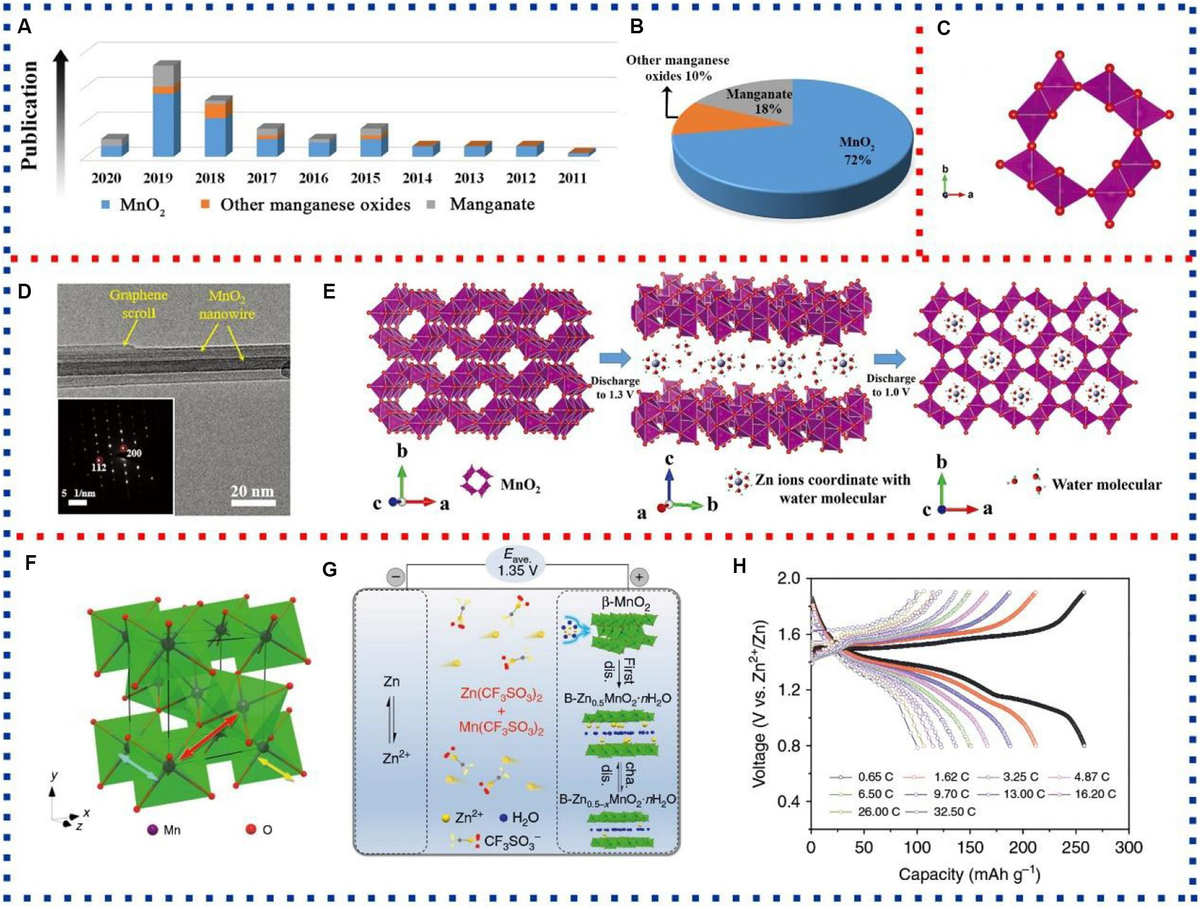 チュウ Chemoautotrophic sulphur oxidizers dominate microbial
