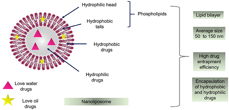 Noevir BIOSIGN IT Liposome | Suzy's Beauty