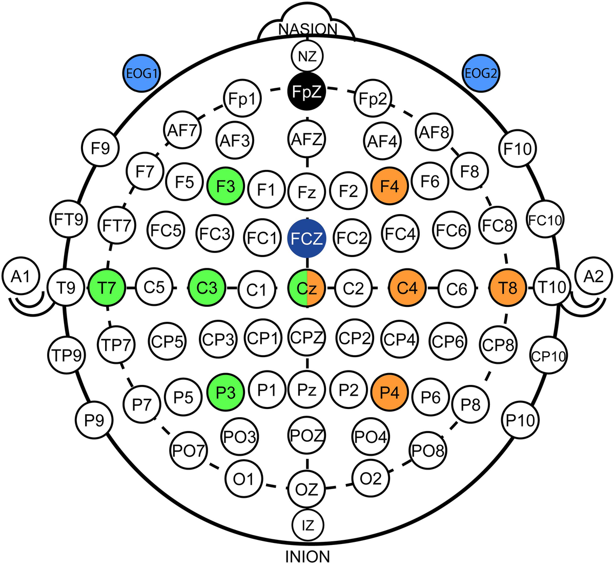 Auto-correlation in the motor/imaginary human EEG signals: A