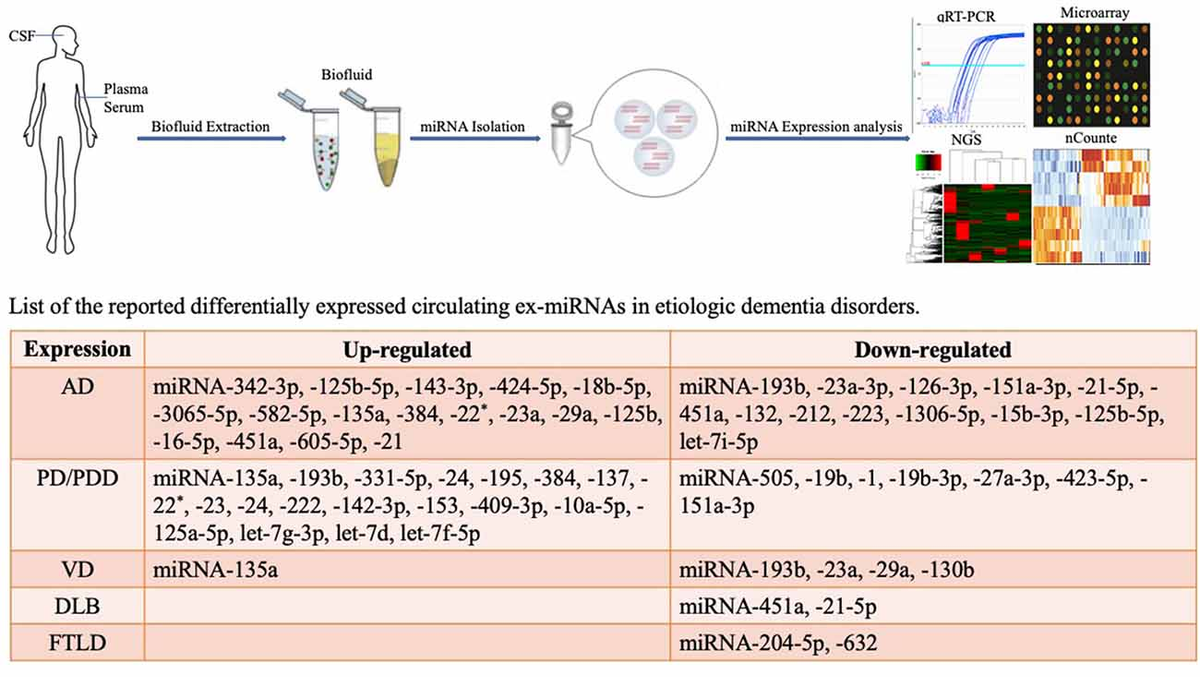 【最安値】 Frontiers | Diagnostic as microRNAs Exosome Circulating 化粧水・ローション・トナー