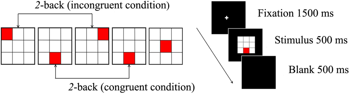Frontiers | The Dynamic Properties of a Brain Network During