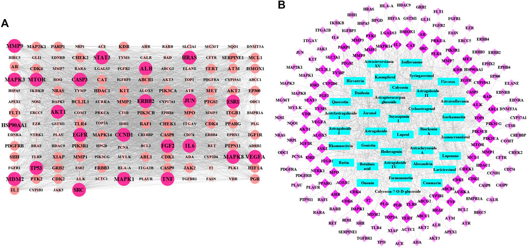 新しい季節 Integrated An | Frontiers Strategy Effective-Component for その他