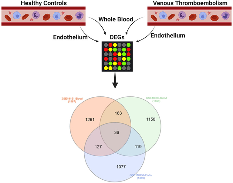 Frontiers | Emerging Therapies for Acute Coronary Syndromes
