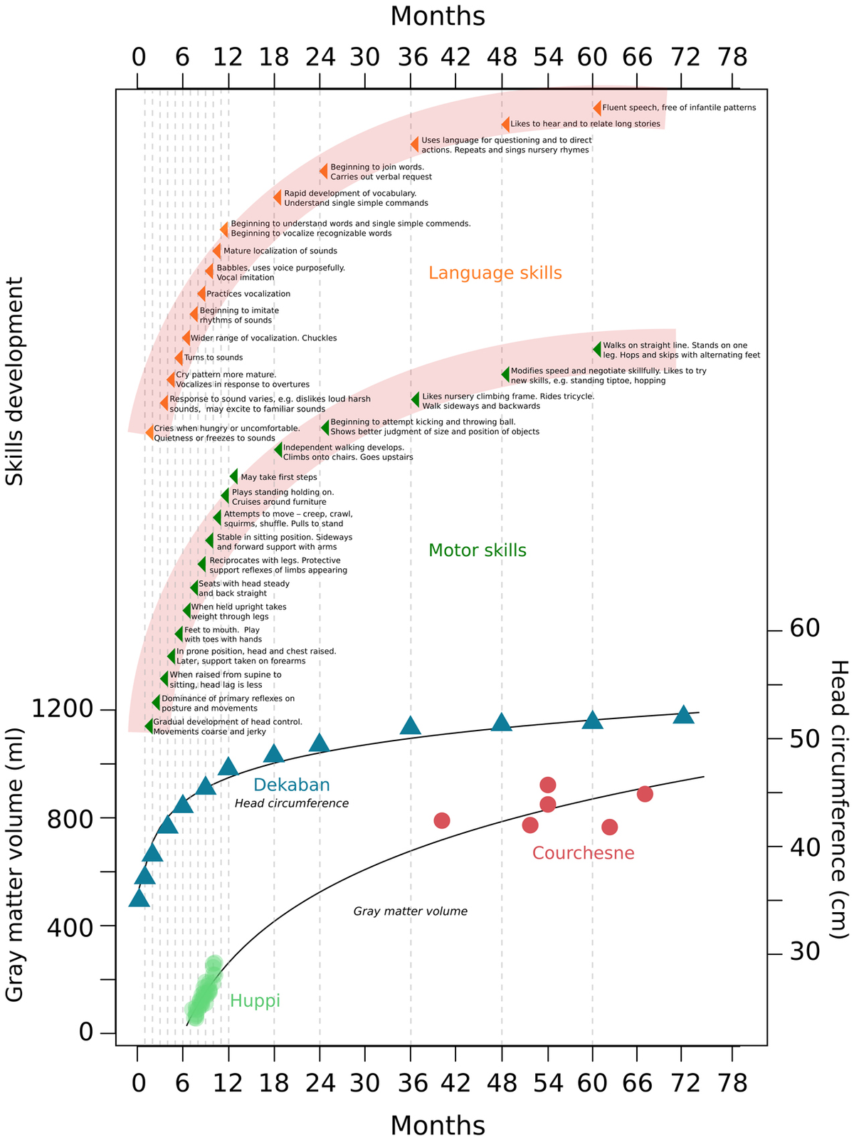 Frontiers | Skills development in infants: a possible role for ...