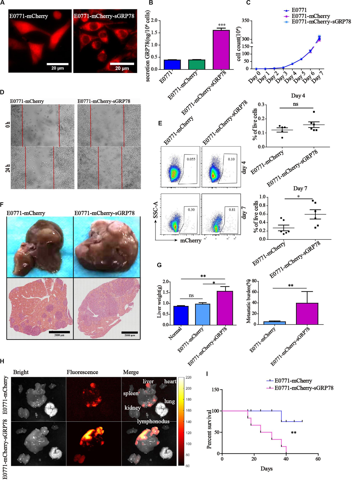 Frontiers | Tumor-Secreted GRP78 Promotes the Establishment