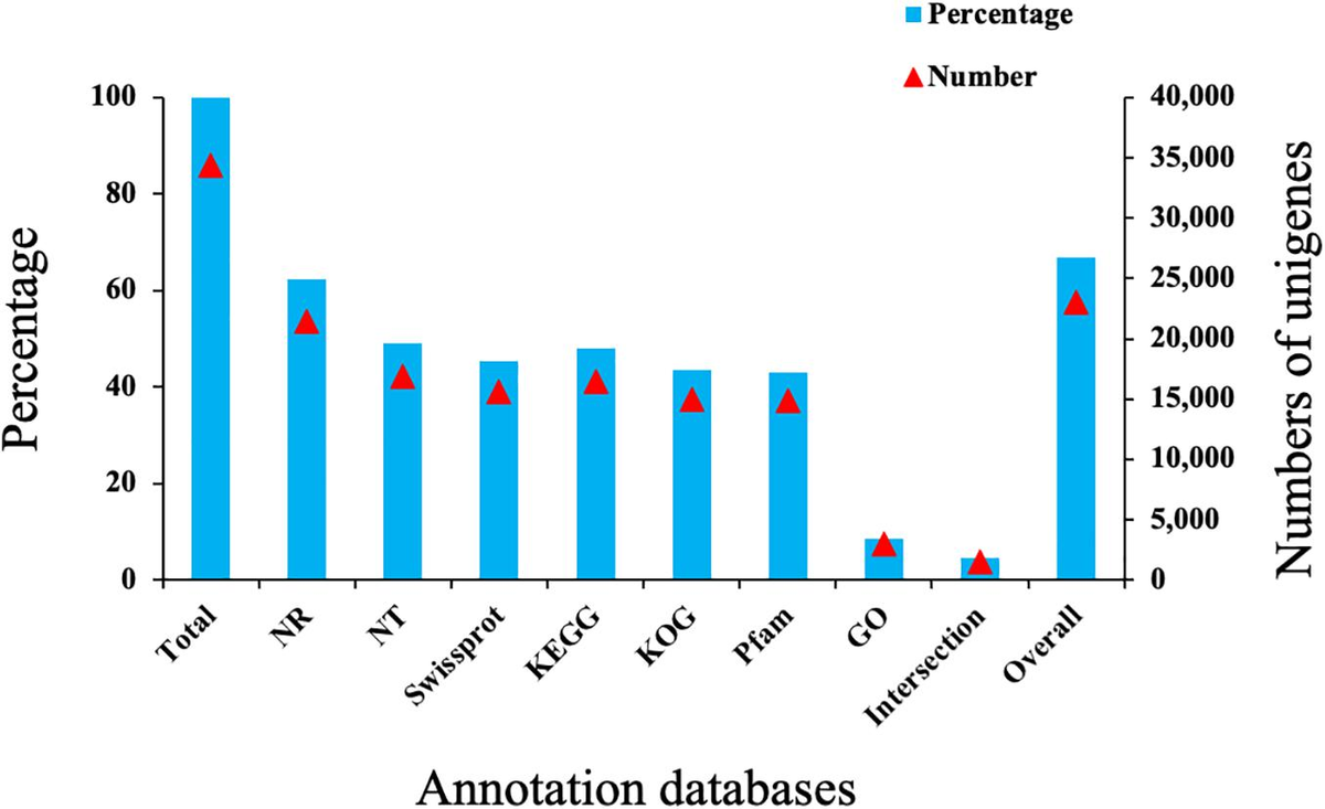 正規店仕入れの Frontiers | Analysis of Chemosensory Genes in Full and スマホアクセサリー