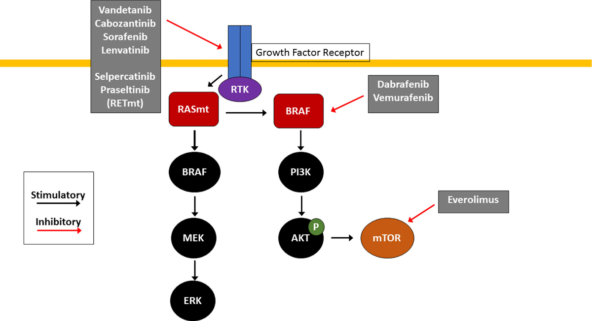 Frontiers | Perspectives on the Treatment of Advanced