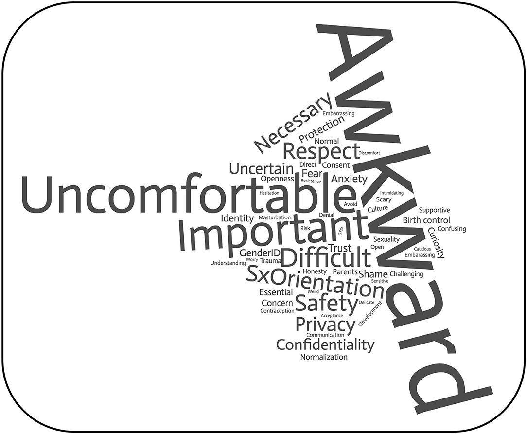 Sexual Health in Child and Adolescent Psychiatry: Multi-Site Implementation  Through Synchronized Videoconferencing of an Educational Resource Using  Standardized Patients - Frontiers