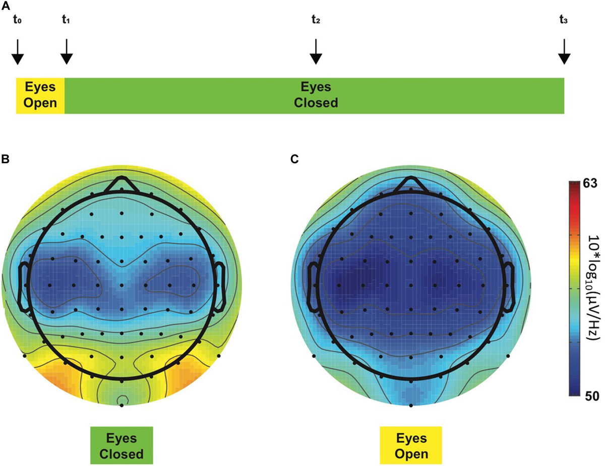 eeg 2011年 iEEG-BIDS, extending the Brain Imaging Data Structure