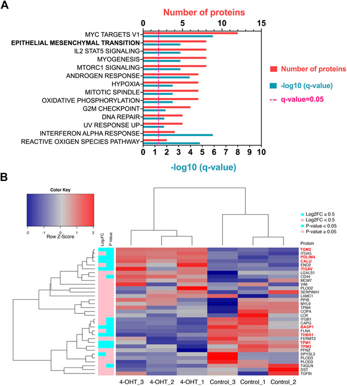 のん様オーダー Asiatic Acid Inhibits Nasopharyngeal Carcinoma Cell