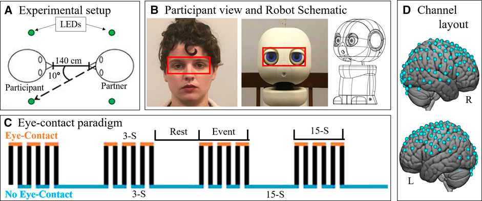 Frontiers Comparison of Human Social Brain Activity During Eye