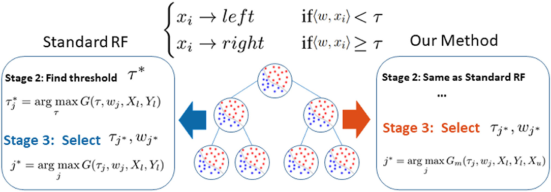 Frontiers | Semi-Supervised Learning in Medical Images Through Graph ...