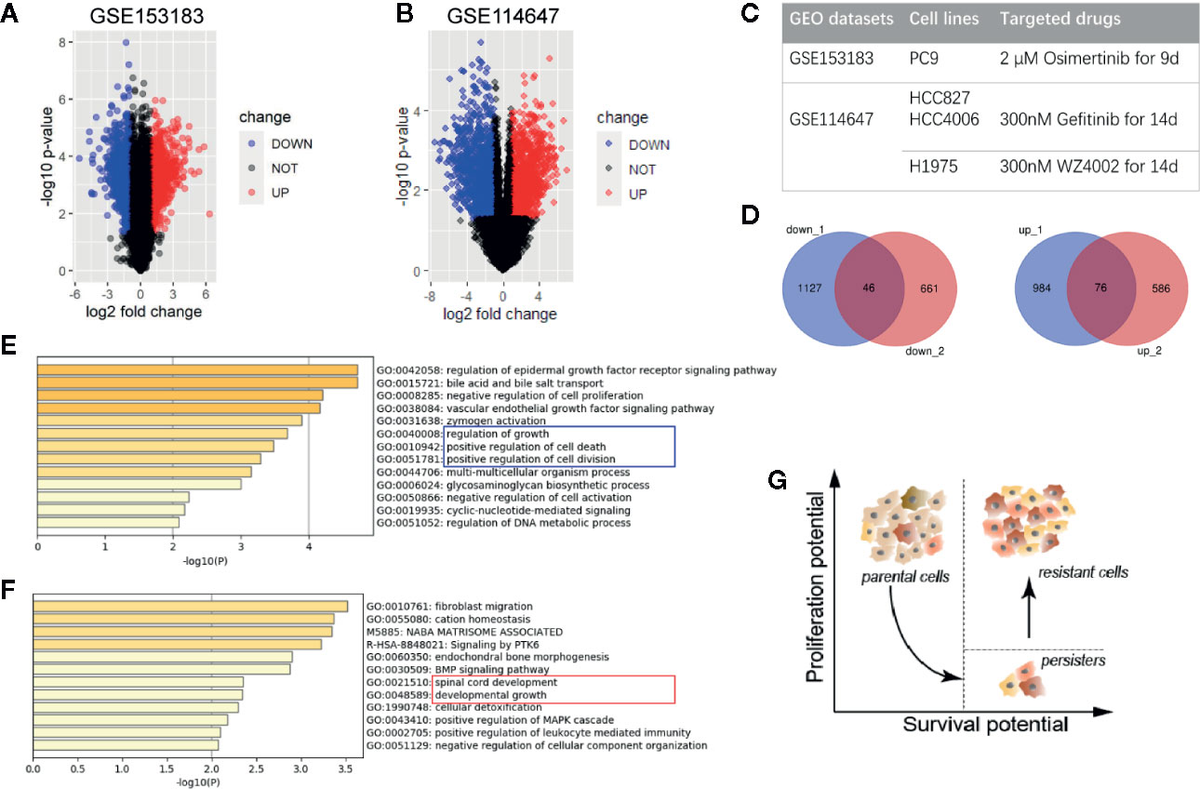 Frontiers | Gene Panel of Persister Cells as a Prognostic