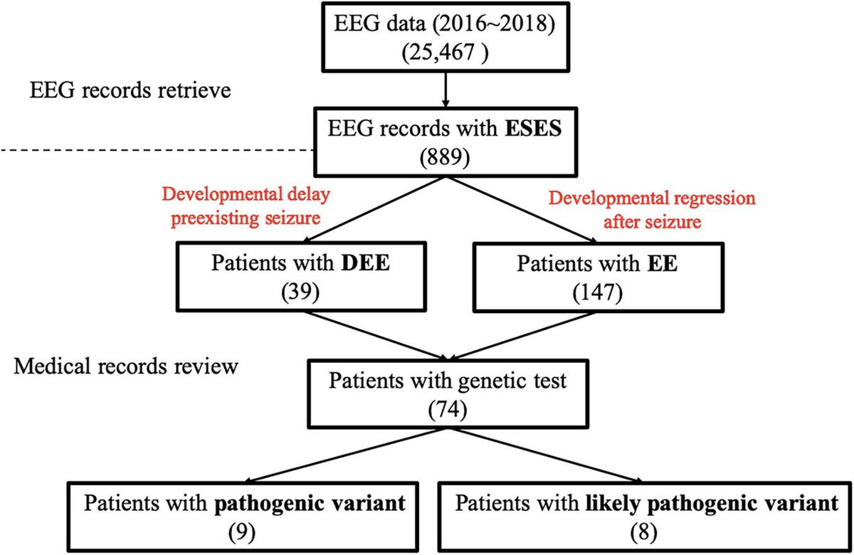 Genetic Etiologies in Developmental and or Epileptic   Frontiers 