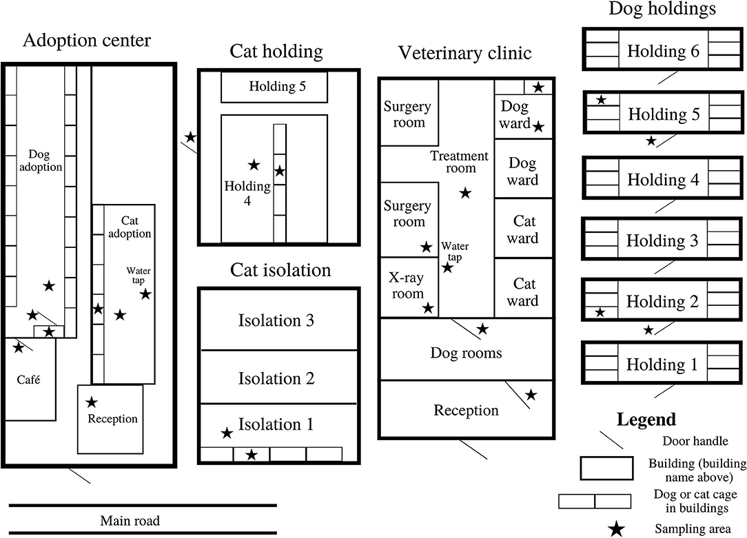 Frontiers Environmental Recovery of Nosocomial Bacteria in a