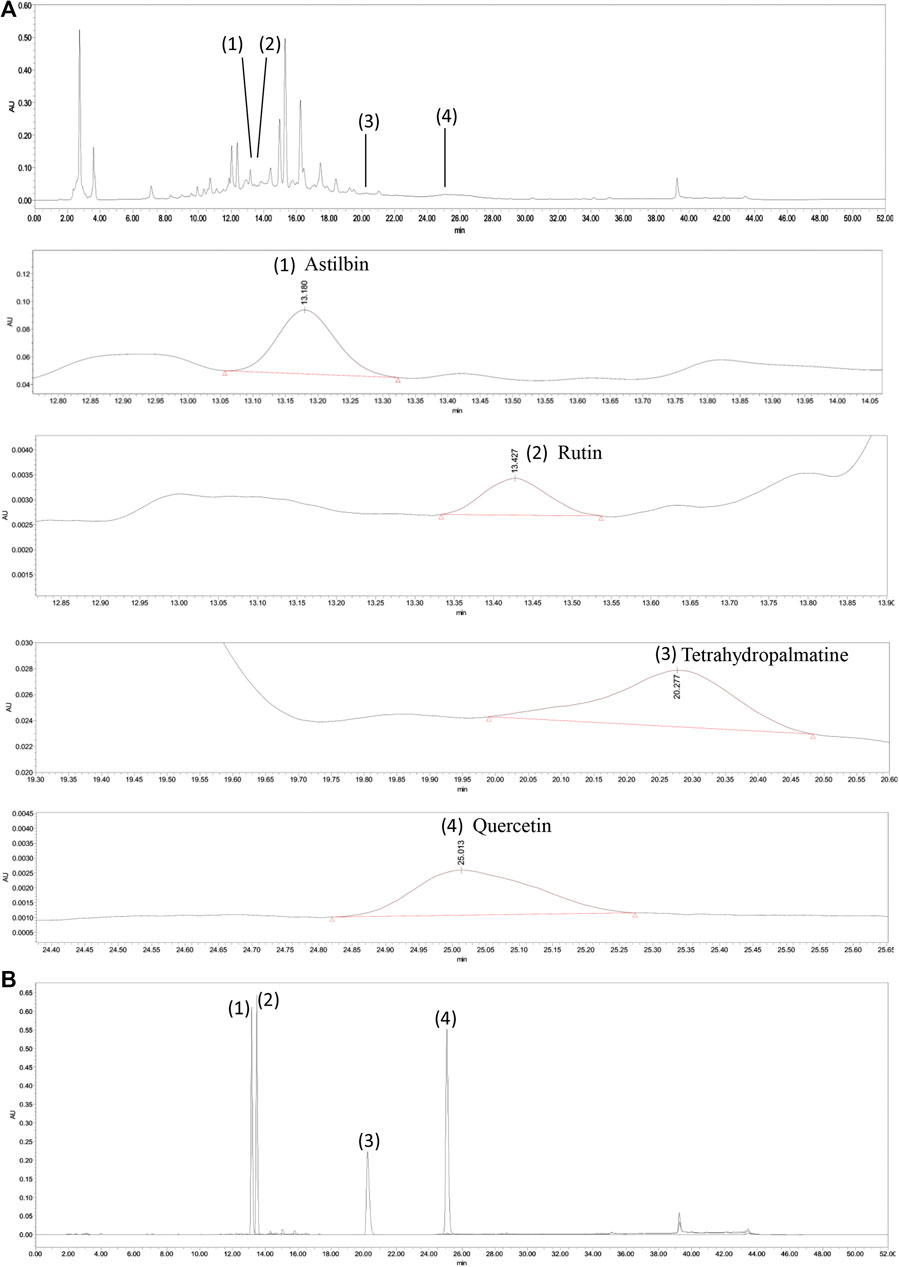 Frontiers | Qu-Zhuo-Tong-Bi Decoction Alleviates Gouty