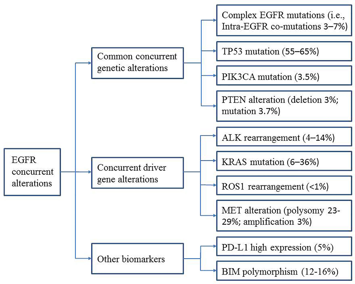 Frontiers | Concurrent Genetic Alterations and Other