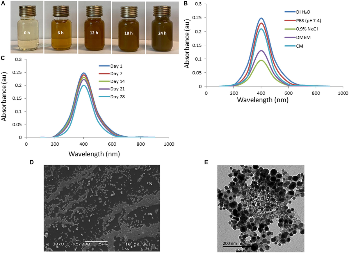Frontiers | Synthesis, Characterization, Antibacterial and Frontiers | Synthesis, Characterization, Antibacterial and