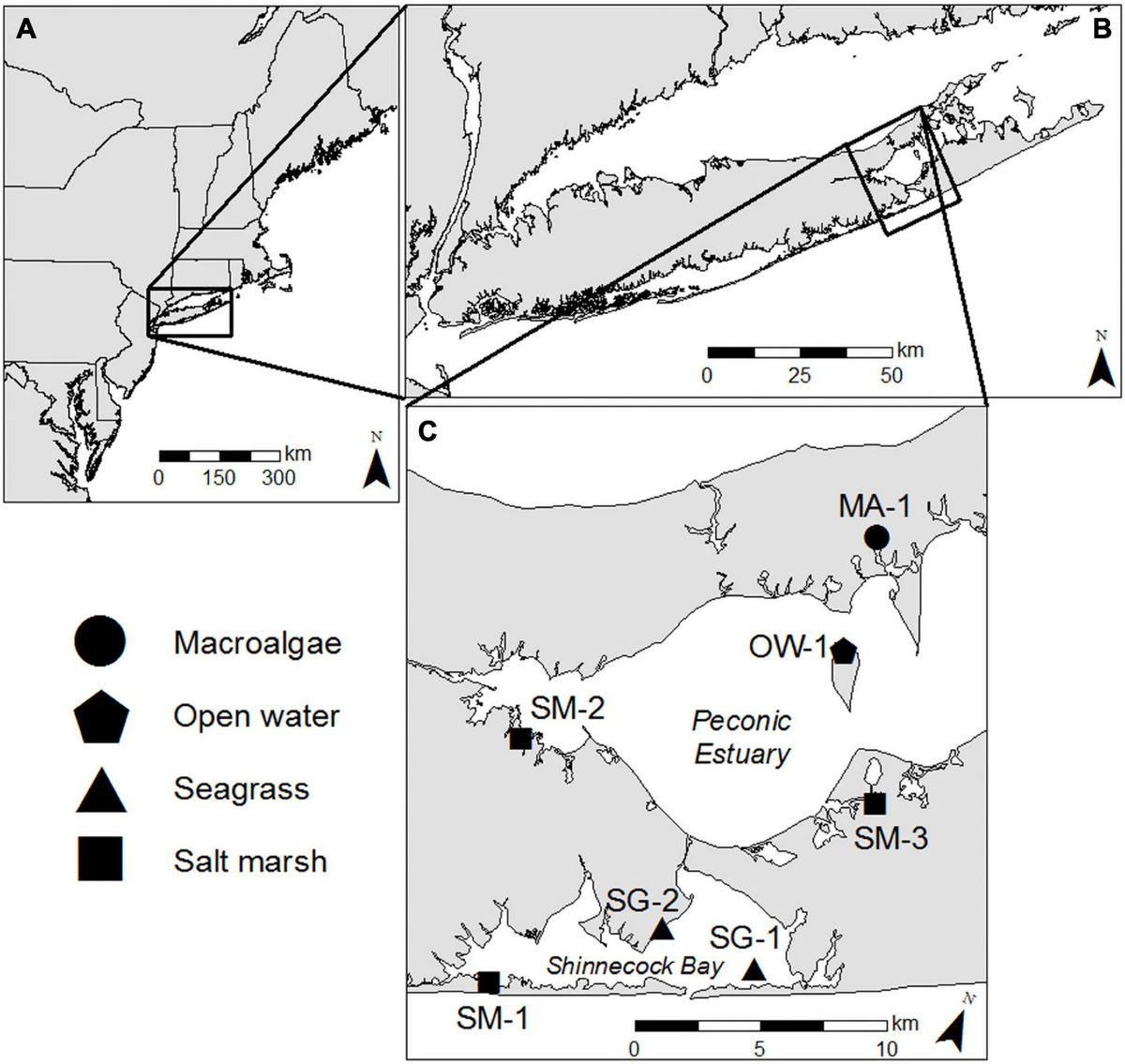 Frontiers | Ecosystem Metabolism Modulates the Dynamics of