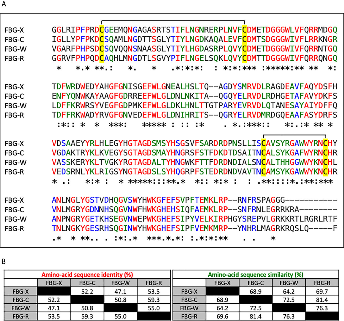 Frontiers | Latent TGF-β Activation Is a Hallmark of the Tenascin Family frontiers-latent-tgf-activation-is-a-hallmark-of-the-tenascin-family