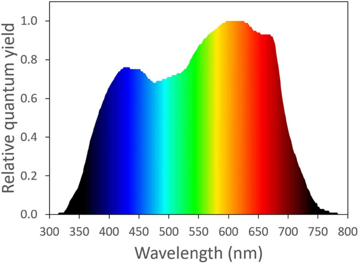 Photosynthesis spectrum deals