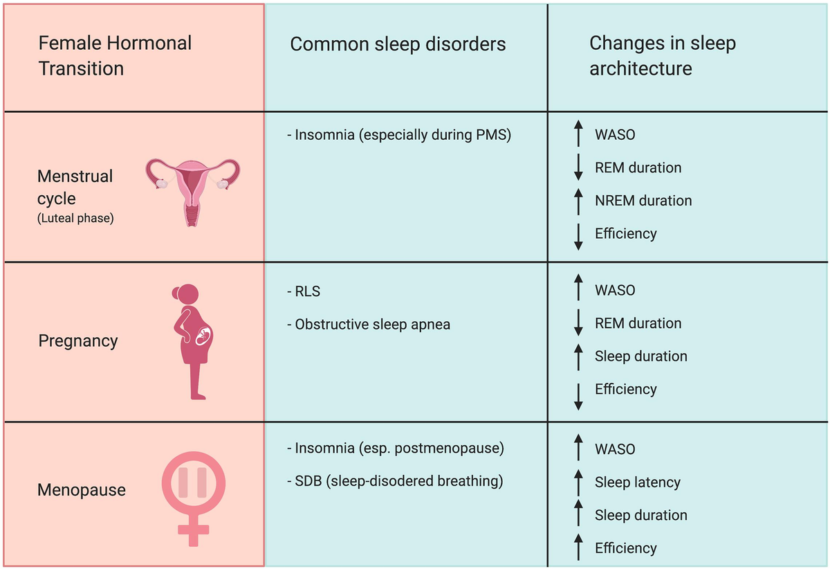 Hormonal Changes That Happen During Sleep: Essential Facts Revealed