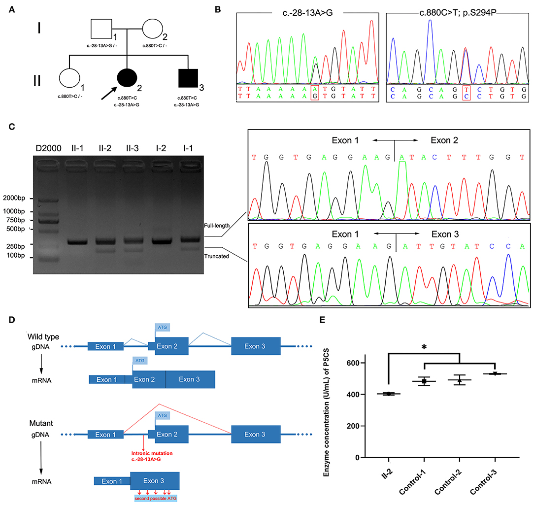 Frontiers | Novel Compound Missense and Intronic Splicing Frontiers | Novel Compound Missense and Intronic Splicing