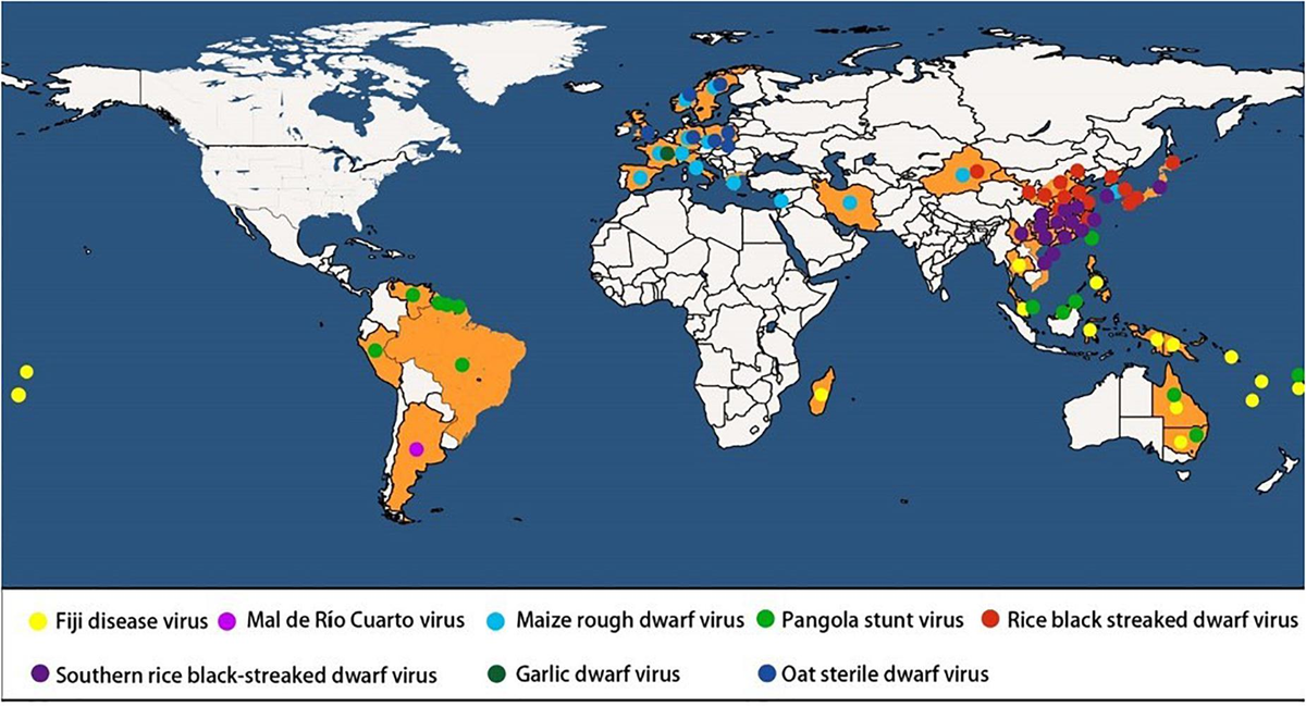 訳あってお買い得！30～80％OFF Frontiers | Insights Into Insect Vector Transmission and 人文